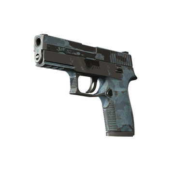 P250 | Forest Night