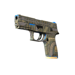 P250 | Exchanger image