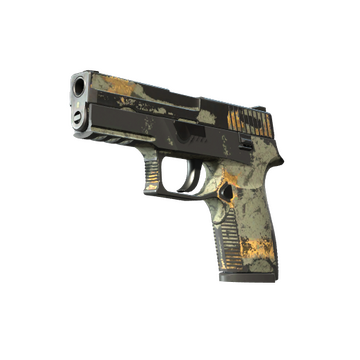 P250 | Modern Hunter