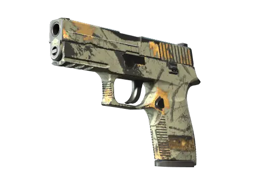 P250 | Modern Hunter