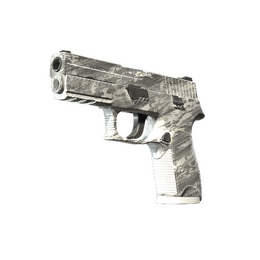P250 | Sleet image