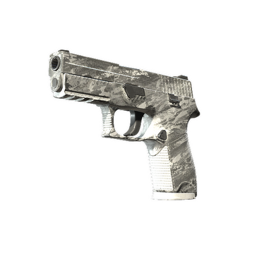 P250 | Sleet