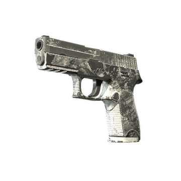 P250 | Sleet