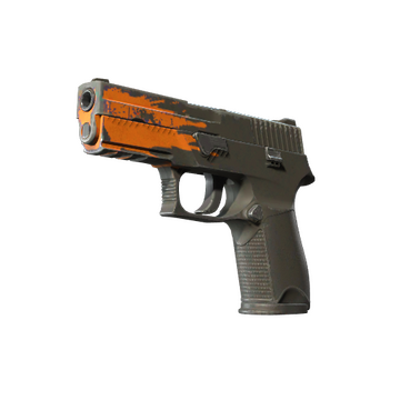 StatTrak™ P250 | Splash