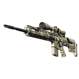 SCAR-20 | Torn image
