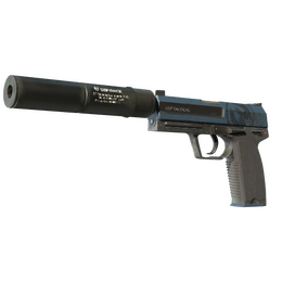USP-S | Guardian image