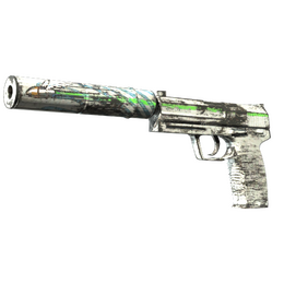USP-S | Road Rash image