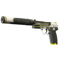 USP-S | Torque image