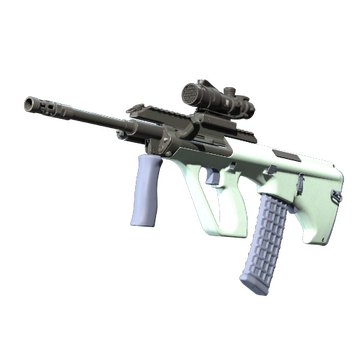 Souvenir AUG | Storm
