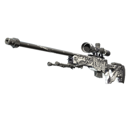 AWP | The End image