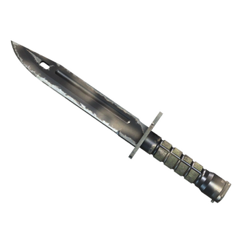 Bayonet