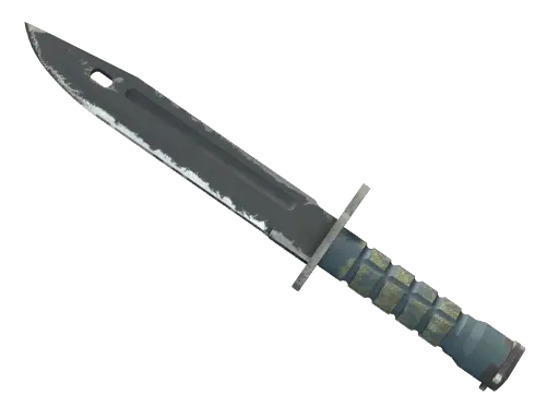 ★ Bayonet | Night