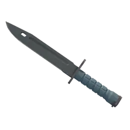 Bayonet | Night image