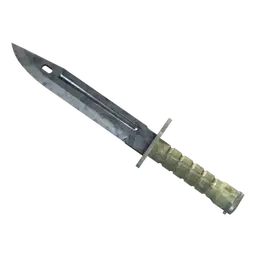 Bayonet | Stained image