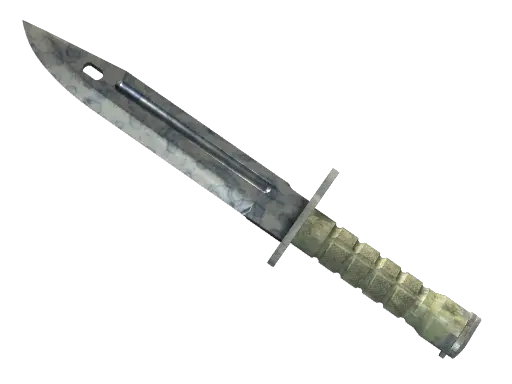 ★ Bayonet | Stained