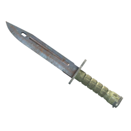 Bayonet | Rust Coat image