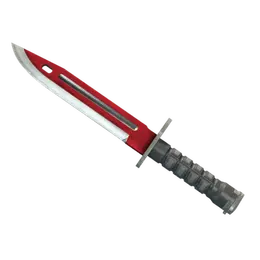 Bayonet | Autotronic image