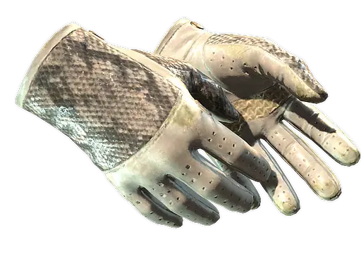 ★ Driver Gloves | King Snake