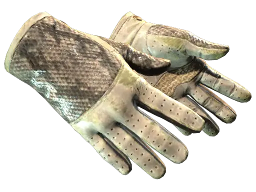 ★ Driver Gloves | King Snake