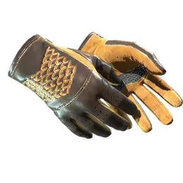 Driver Gloves | Overtake image
