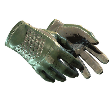 Driver Gloves | Racing Green