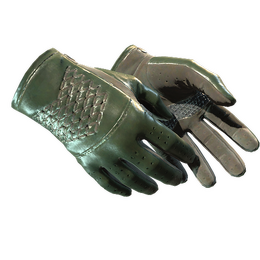 Driver Gloves | Racing Green image