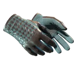 Driver Gloves | Lunar Weave image