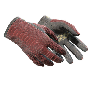 Driver Gloves | Dragon Fists