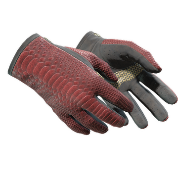 Driver Gloves | Dragon Fists