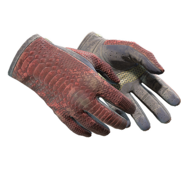Driver Gloves | Dragon Fists