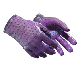 Driver Gloves | Plum Quill image