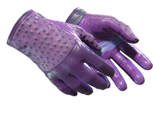 ★ Driver Gloves | Plum Quill