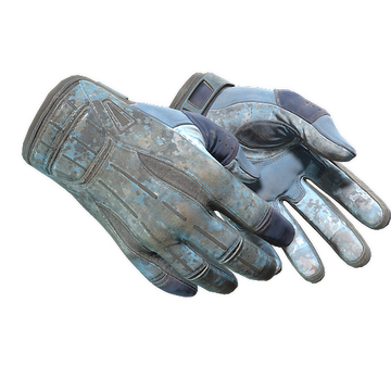 Sport Gloves | Frosty