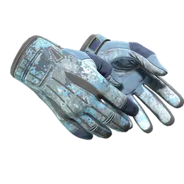 Sport Gloves | Frosty image