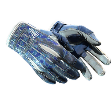Sport Gloves | Amphibious