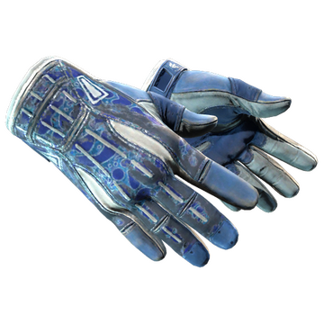 Sport Gloves | Amphibious