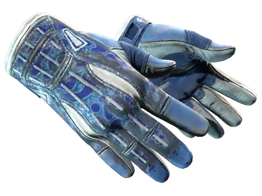 ★ Sport Gloves | Amphibious