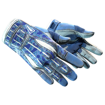 Sport Gloves | Amphibious
