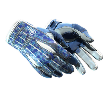 Sport Gloves | Amphibious