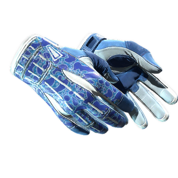 Sport Gloves | Amphibious