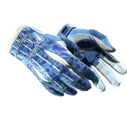 Sport Gloves | Amphibious image