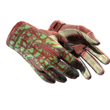 Sport Gloves | Bronze Morph