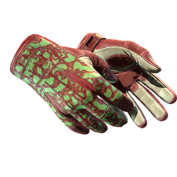 Sport Gloves | Bronze Morph