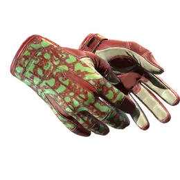Sport Gloves | Bronze Morph image