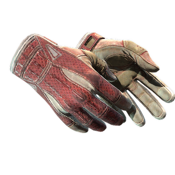 Sport Gloves | Slingshot