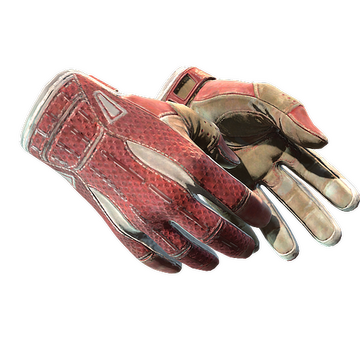 Sport Gloves | Slingshot