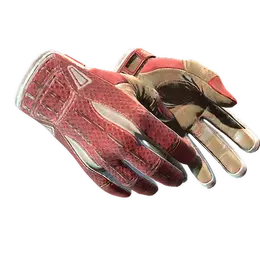 Sport Gloves | Slingshot image