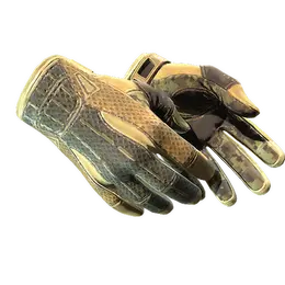 Sport Gloves | Arid image