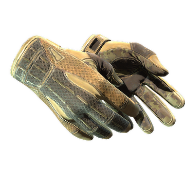 Sport Gloves | Arid