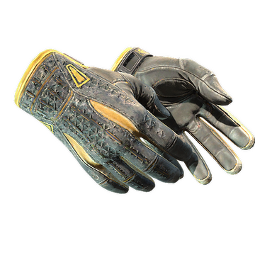 Sport Gloves | Omega